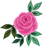 Rose 20 (pink)